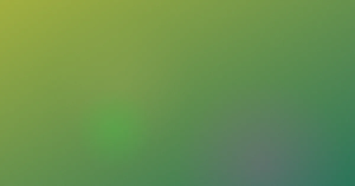 在线观看欧美推荐新手对比